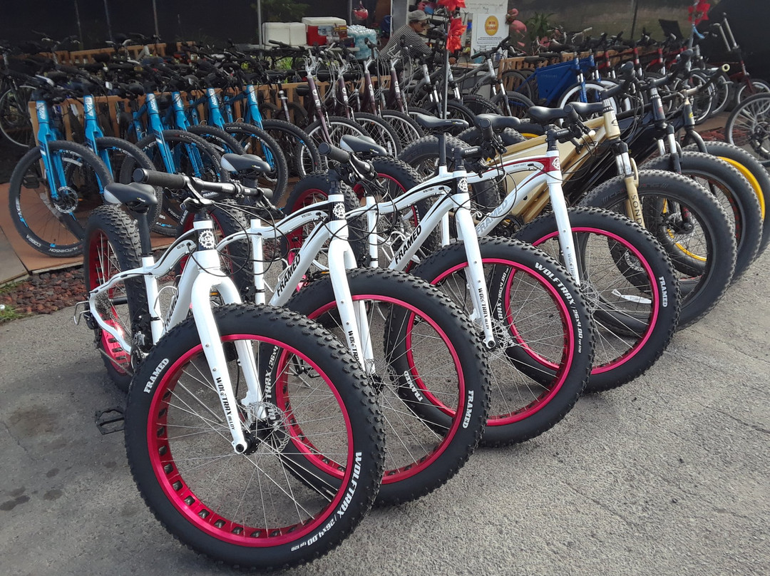 Kalapana Bike Rental-帕霍亚必去景点