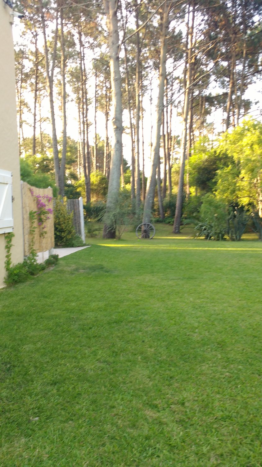 Neike Boutique Hotel-泳池