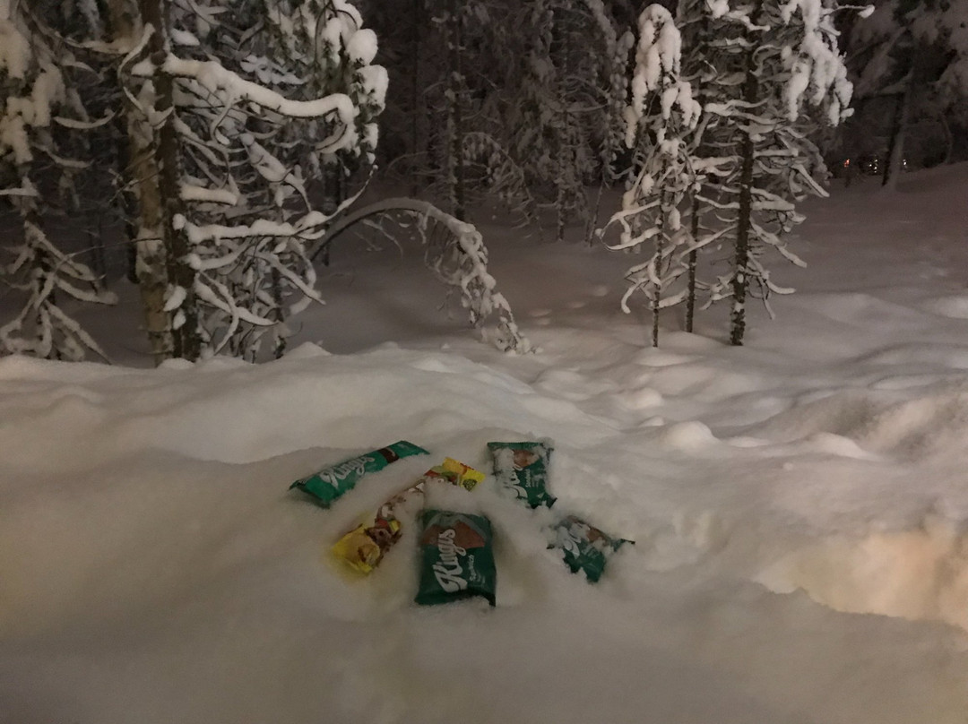 Nova Skyland Hotel主图