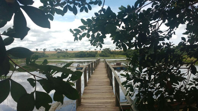 Jose Bonifacio旅游攻略图片