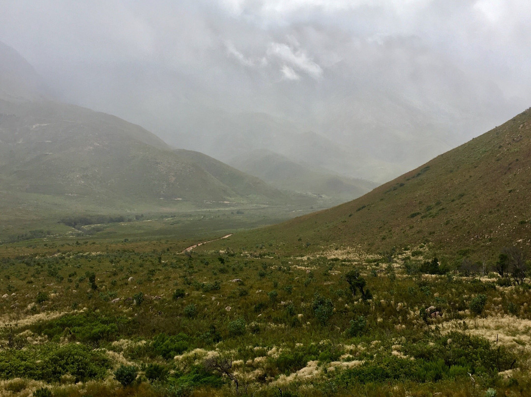 Jonkershoek Nature Reserve景点图片