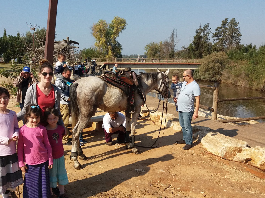 Turtle Bridge-Kfar Vitkin必去景点