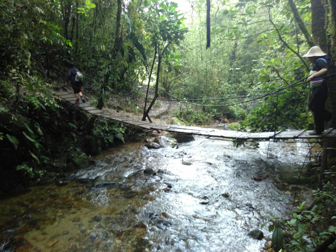 Cascadas De Cocora-萨伦托必去景点