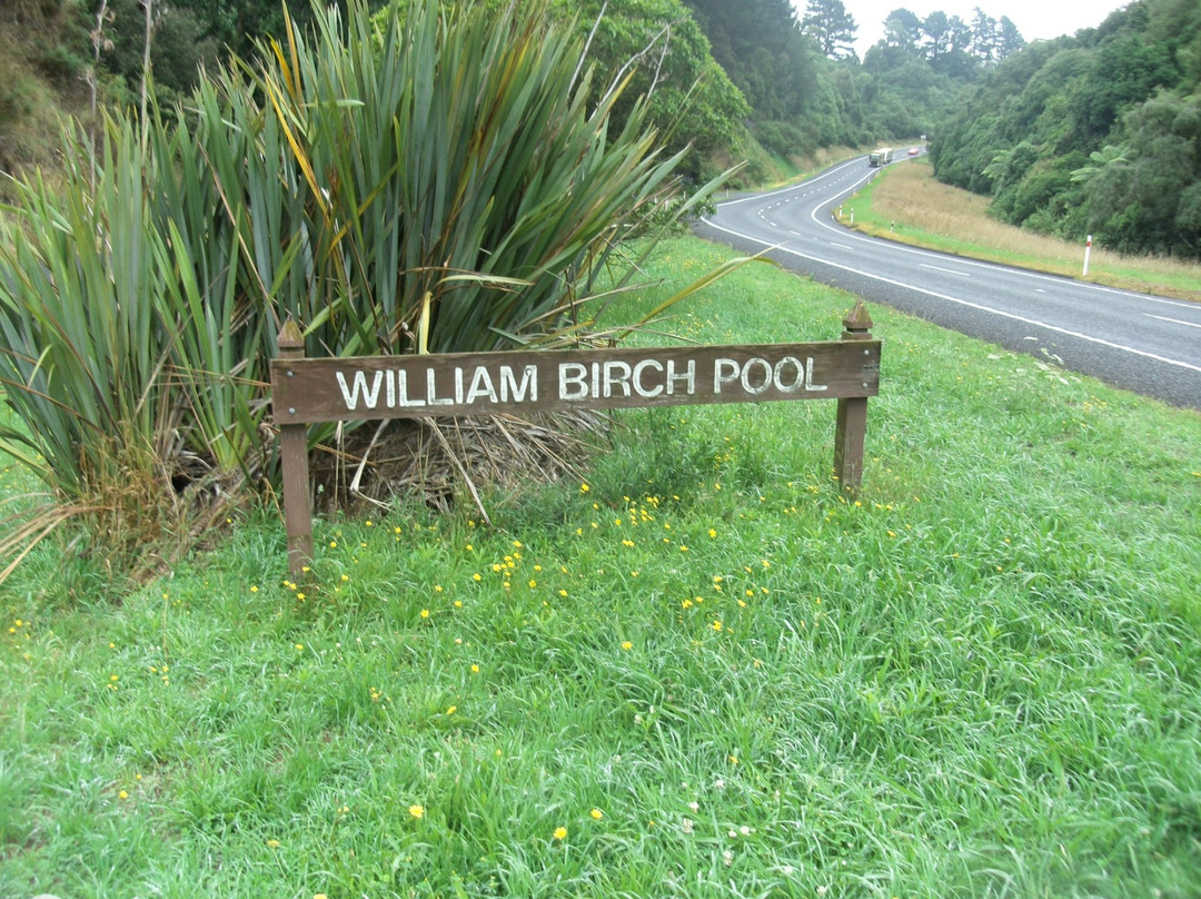William Birch Pools景点图片