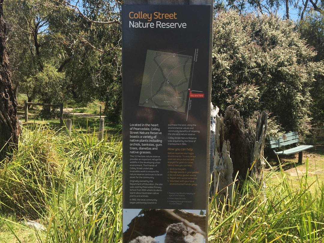 Colley st Bushland Reserve景点图片