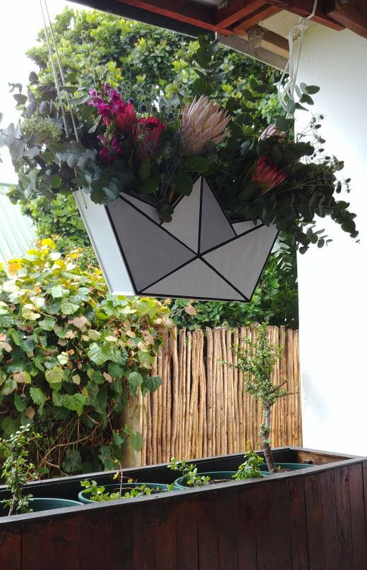 Misty Mountain Reserve主图