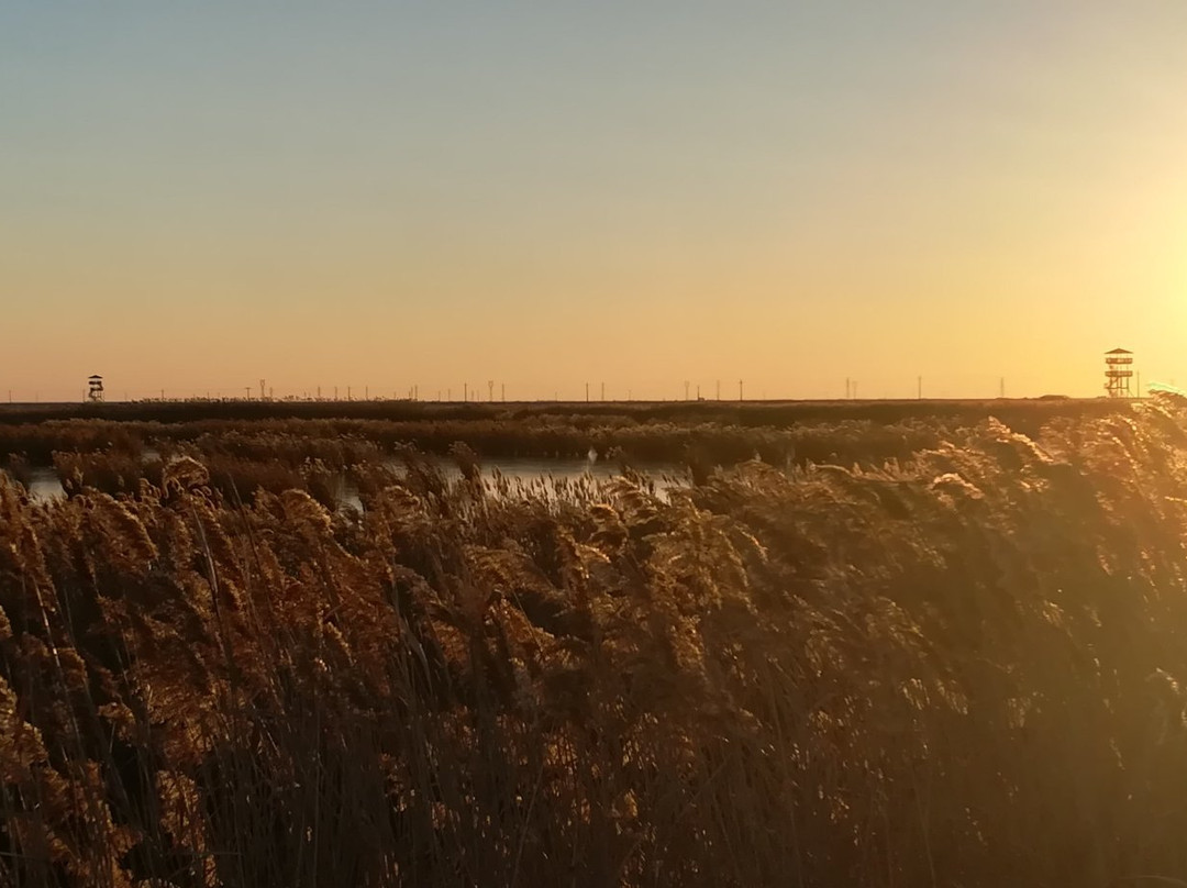 曹妃甸湿地景区-唐山市必去景点