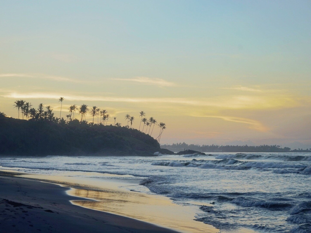 Surf & Stay Kings Marine Sk town主图