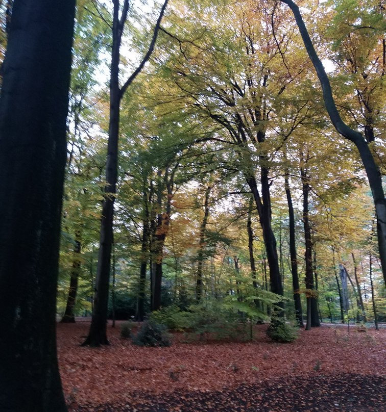 Te Boelaerpark-安特卫普必去景点