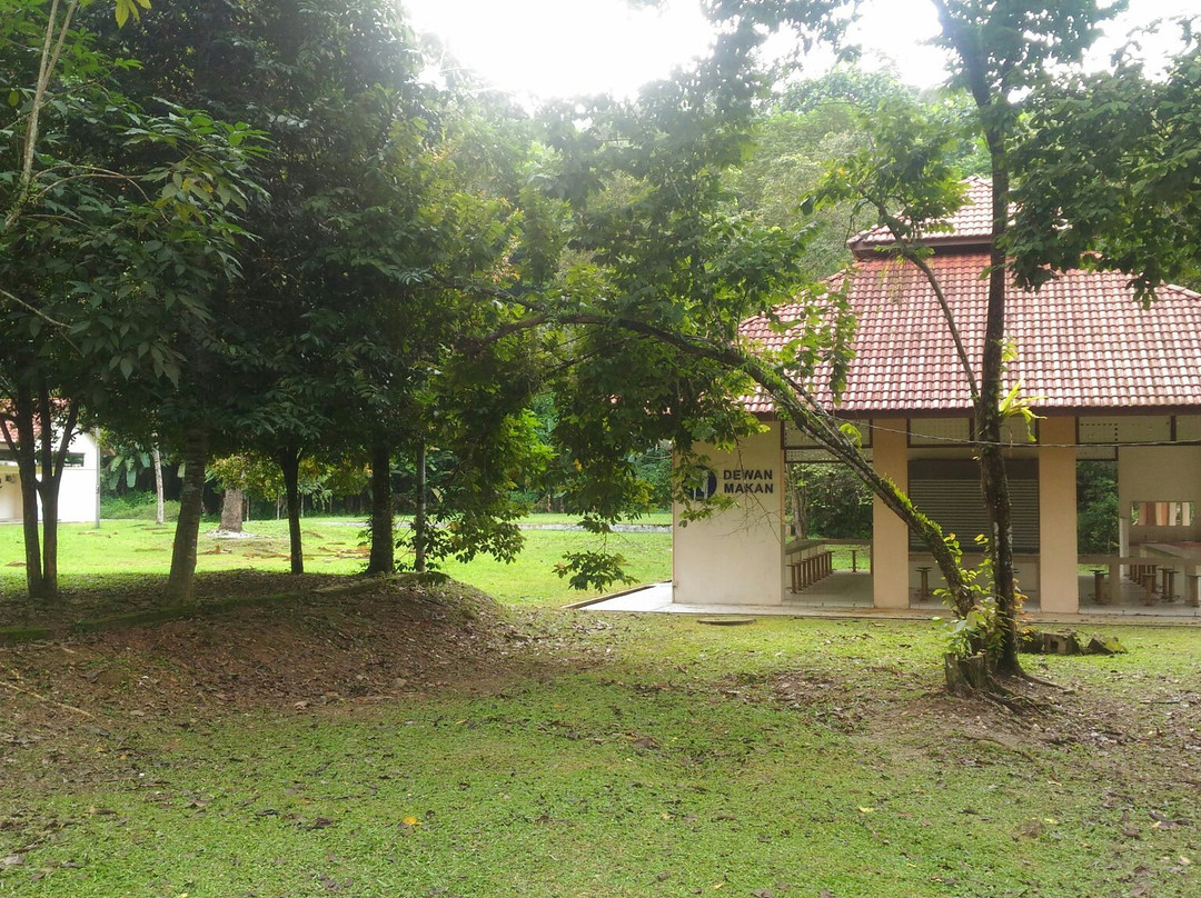 Kuala Woh Recreational Forest景点图片