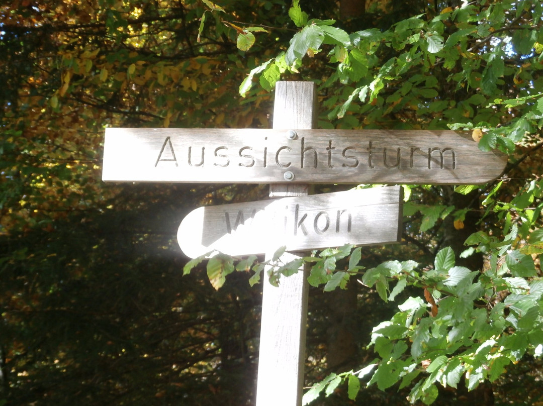 Loorenkopf Aussichtsturm-苏黎世必去景点