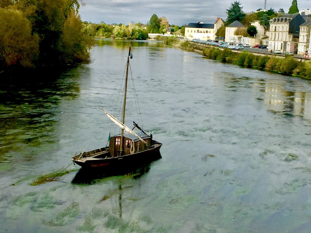 Pont Henri IV景点图片