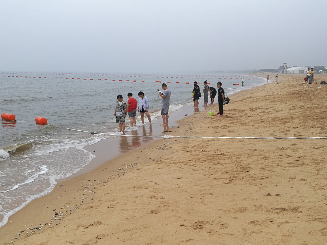 日照刘家湾赶海园-日照市必去景点