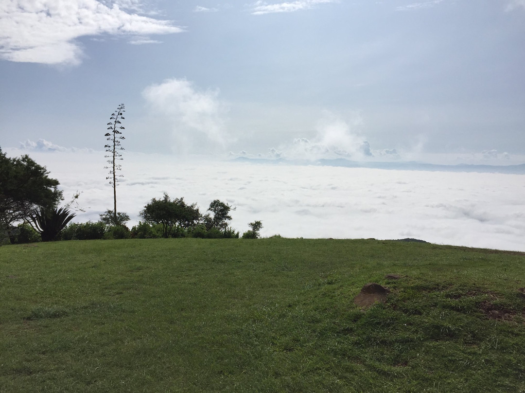 Parque Aventuras La Ceja-Tapalpa必去景点