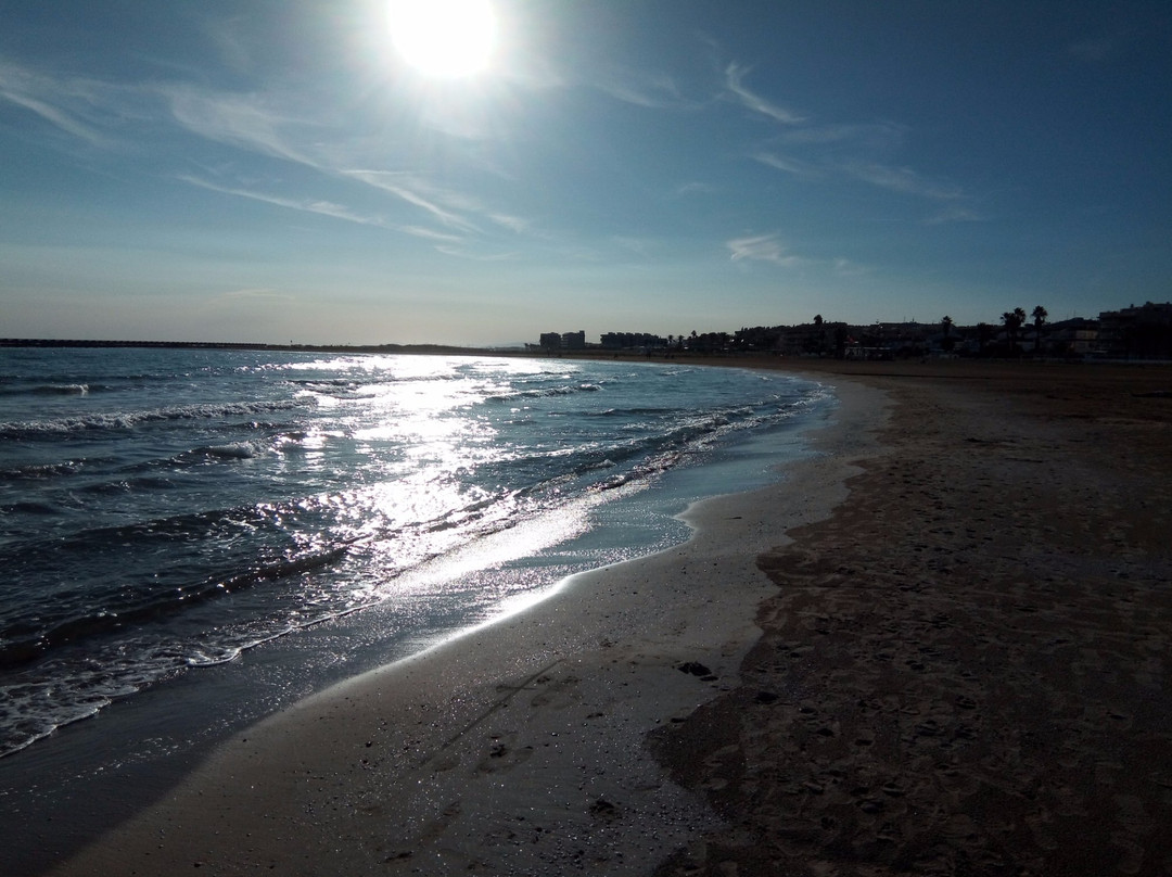Playa de Les Gavines景点图片