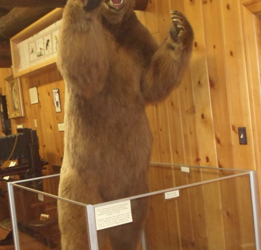 Beaverhead County Museum-Dillon必去景点