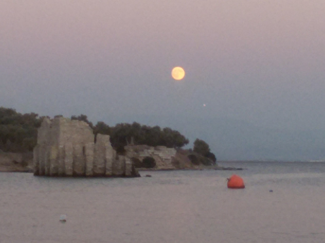 Port Iasos Marina景点图片