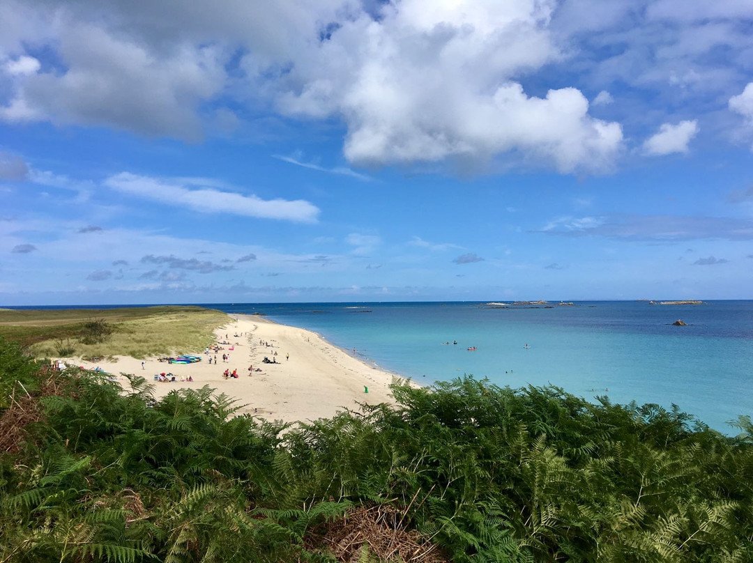 Herm Garden Tour-Herm必去景点