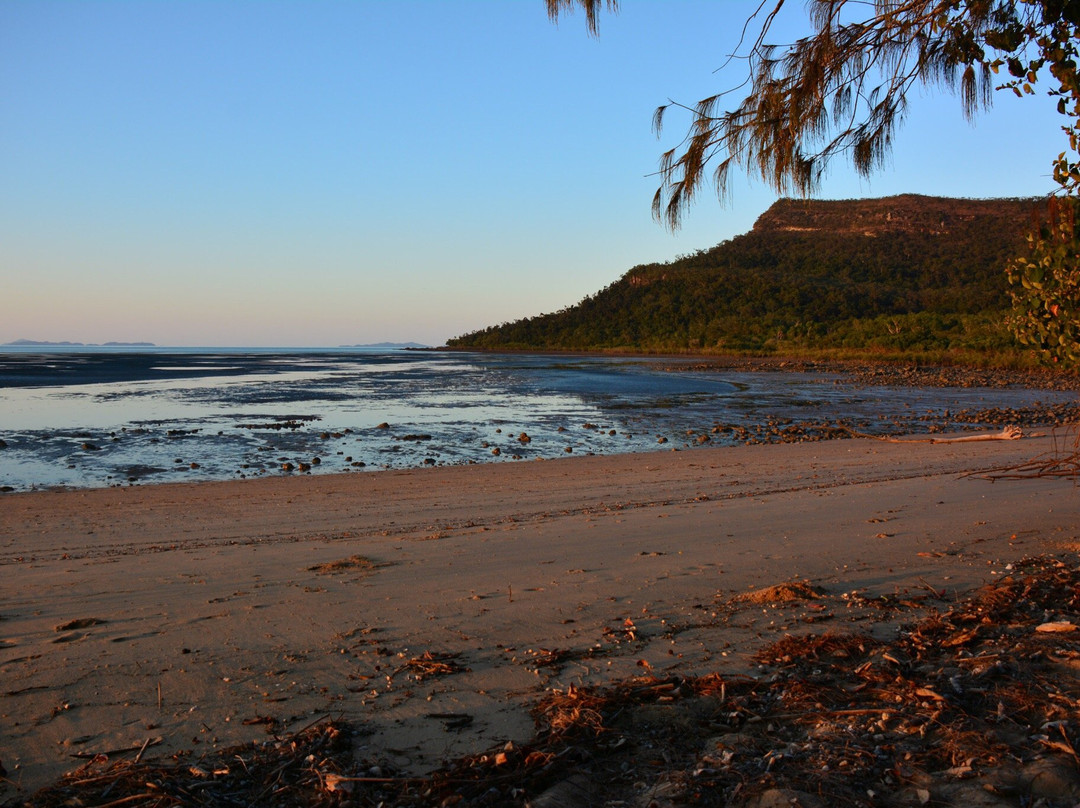 Cape Hillsborough旅游攻略图片