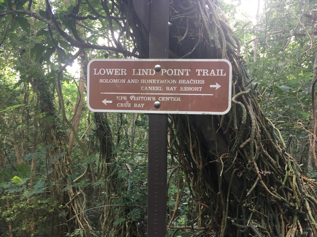 Salomon Beach-圣约翰必去景点