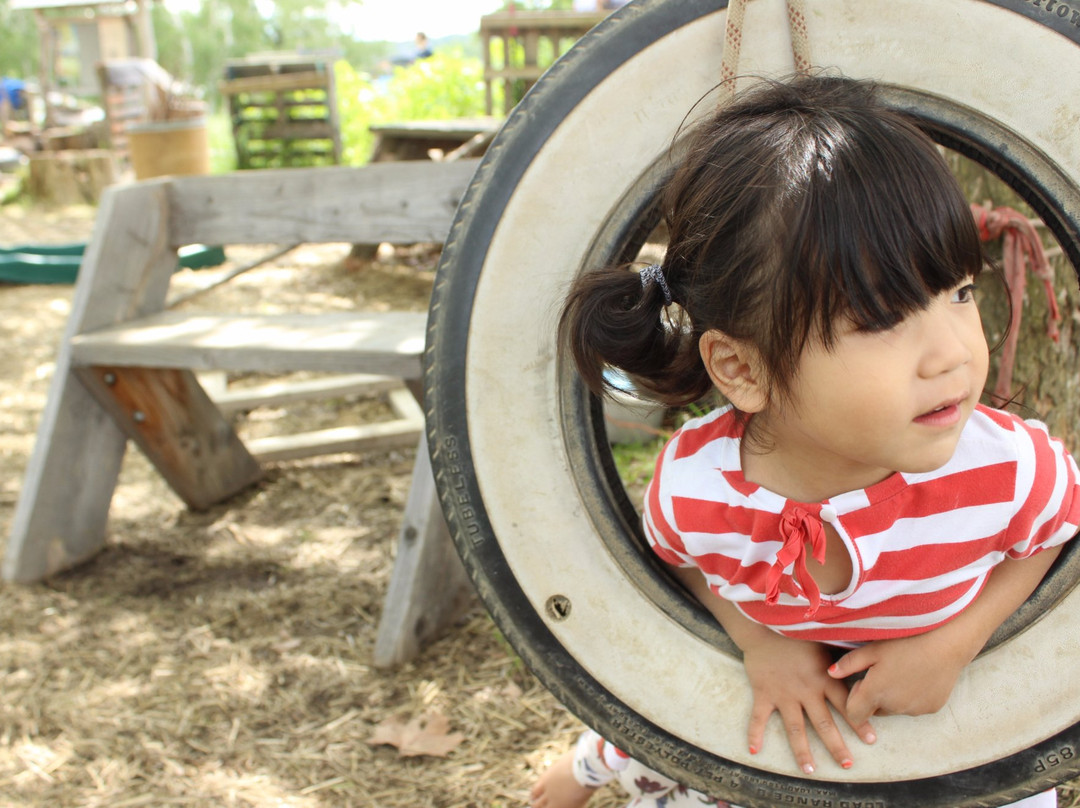 Ithaca Children's Garden-伊萨卡必去景点