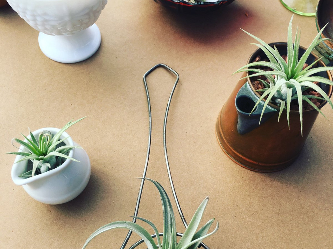 Beacon Flea Market-Beacon必去景点