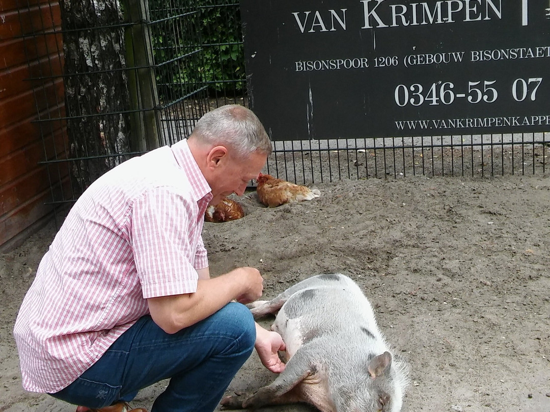 Kinderboerderij Otterspoor-马尔森必去景点