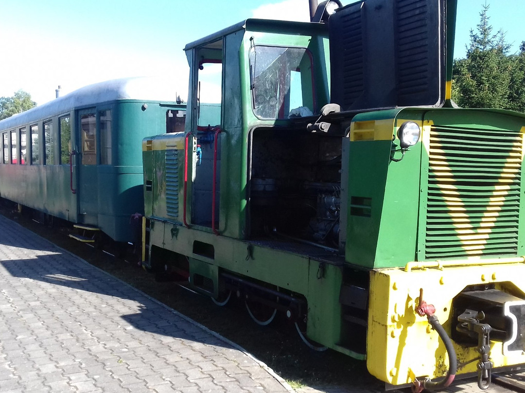Elk Narrow Gauge Railway景点图片