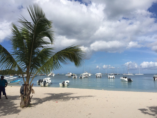 Go Dominican Travel-巴瓦罗必去景点