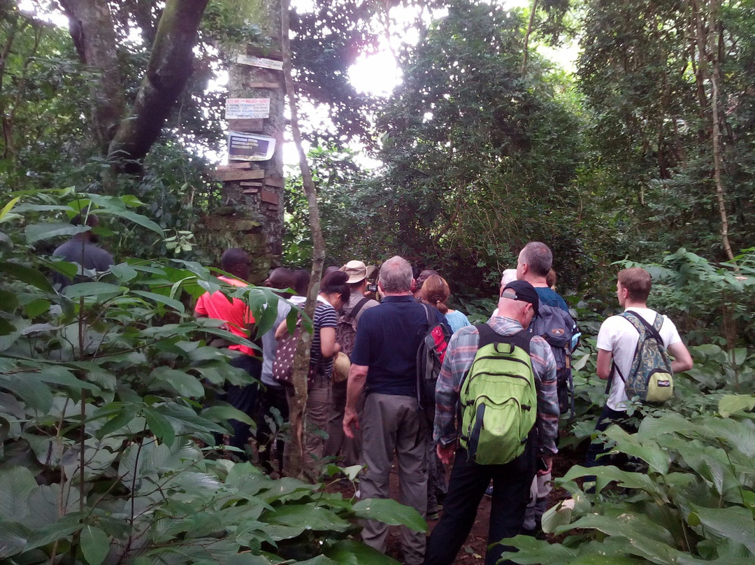 Responsible Tourism Company-坎帕拉必去景点