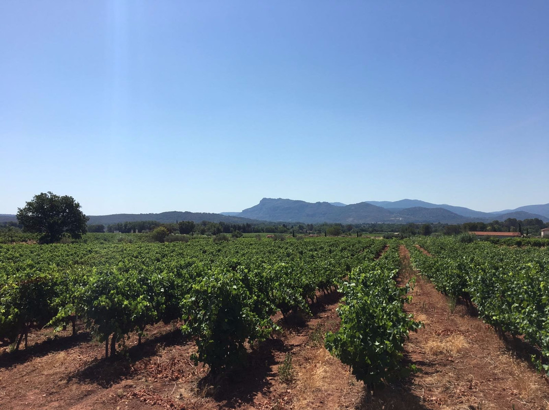 Domaine De Canta Rainette-La Motte必去景点