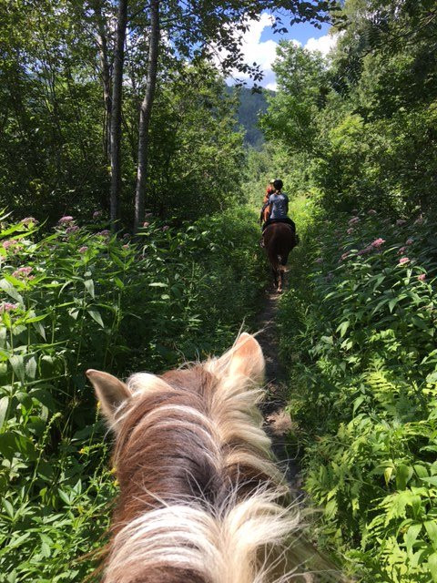 Centre Equestre des Plateaux景点图片