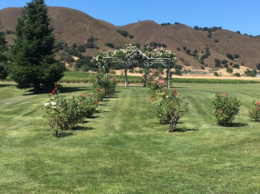 Kirigin Cellars Winery-吉尔罗伊必去景点