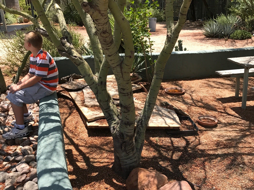 Wild at Heart-洞溪必去景点