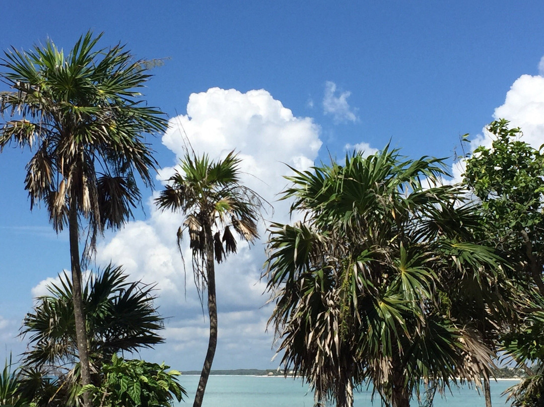 Tankah Beach-Soliman Bay必去景点