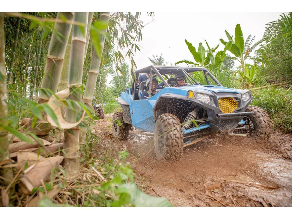 Flores Komodo Tour-登巴萨必去景点