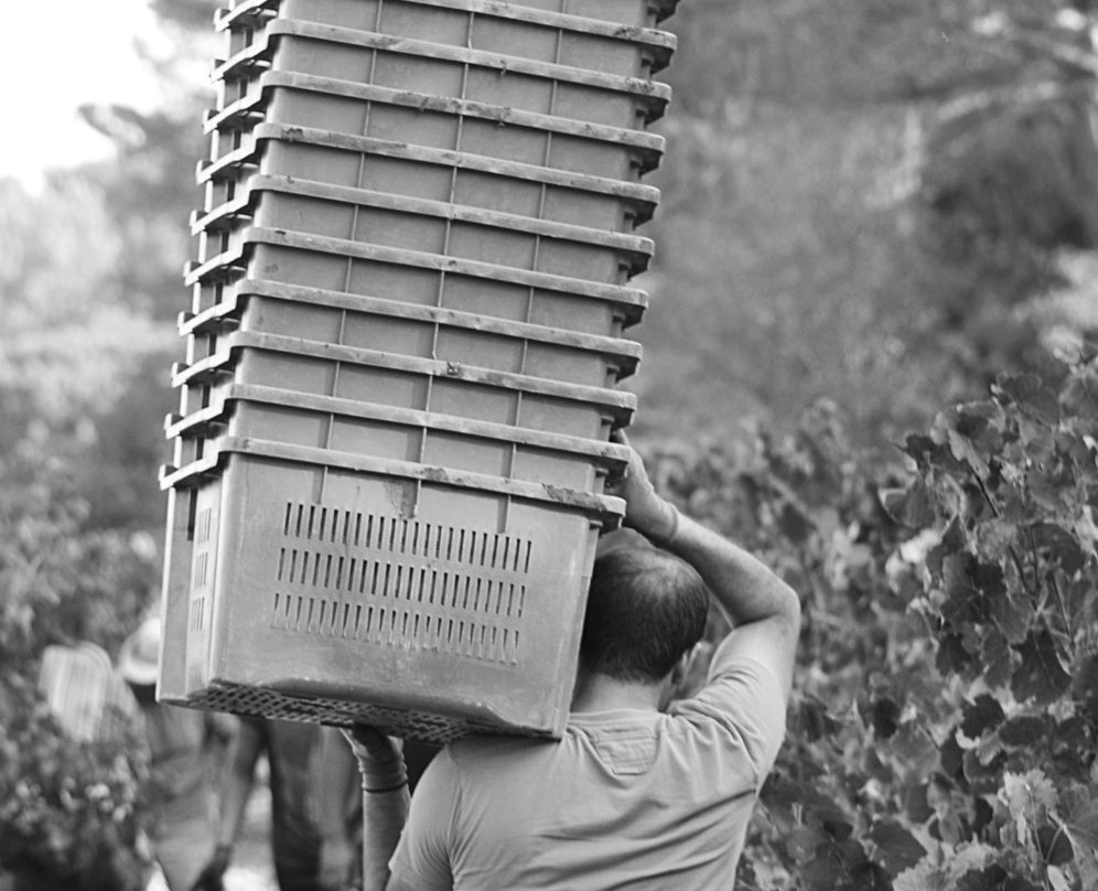 Domaine Des Terres Blanches景点图片