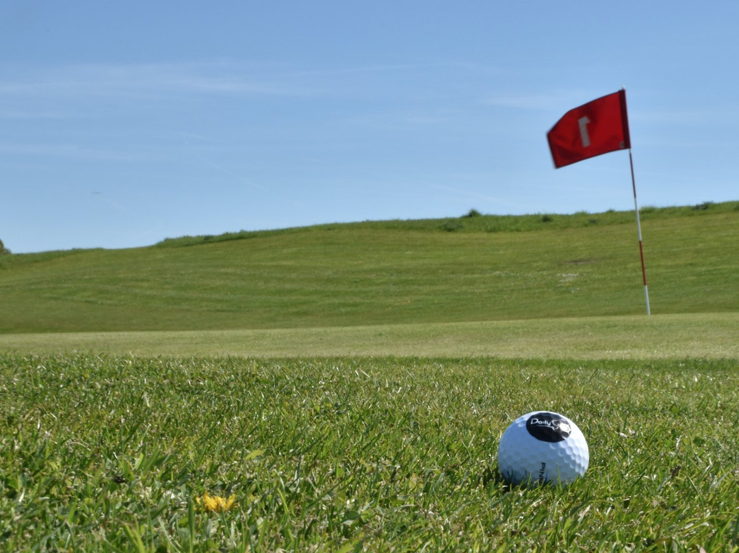 Daily Golf Buc-Toussus景点图片