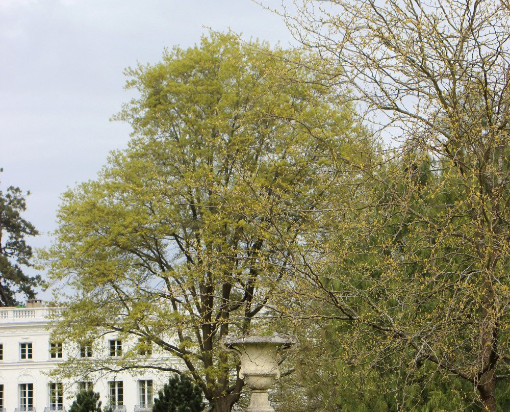 Chateau du Haut Buc景点图片