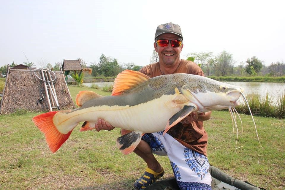 Nong Bua Lam Phu Fishing Park景点图片