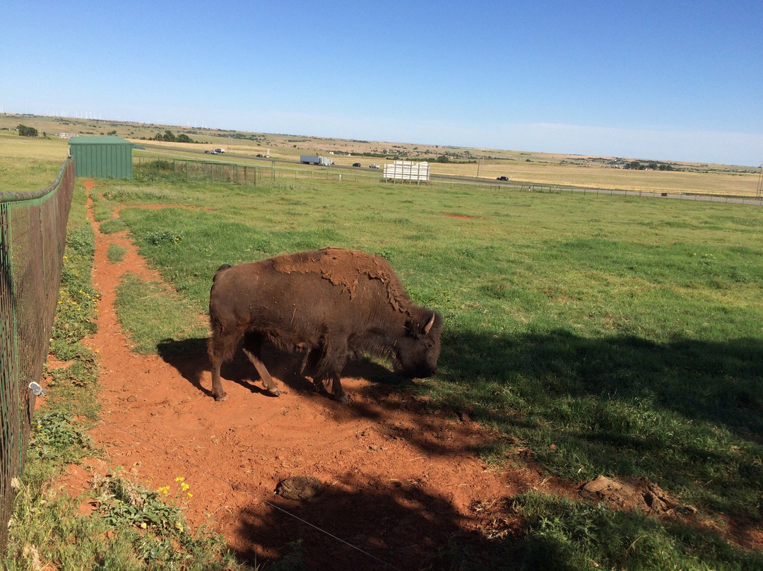 Cherokee Trading Post-Clinton必去景点