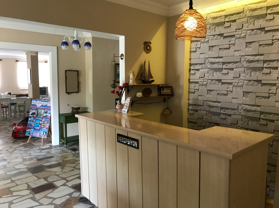 阿尔特诺卢克酒店住宿-Zeytin Hotel