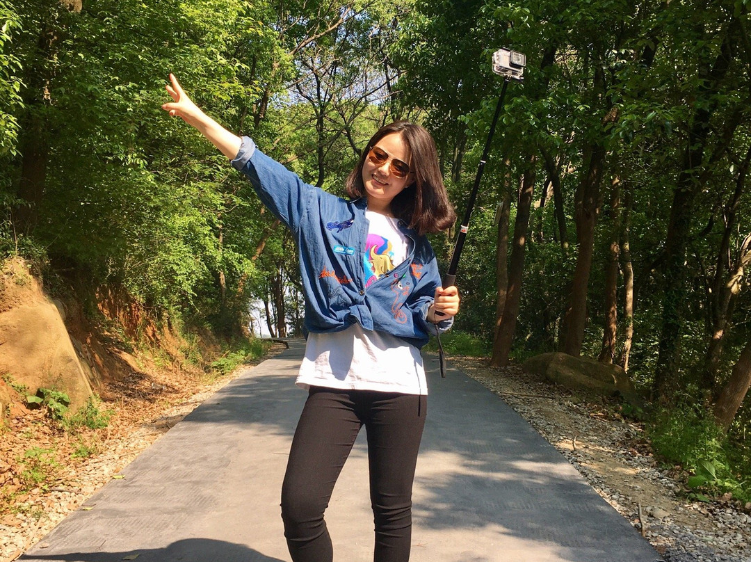 平湖九龙山国家森林公园-平湖市必去景点