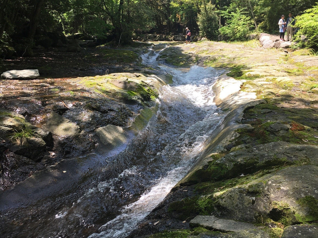 Kamitsue Fishing Park-日田市必去景点