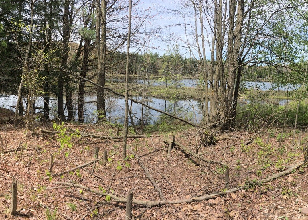 Emmons Pond Bog-Oneonta必去景点