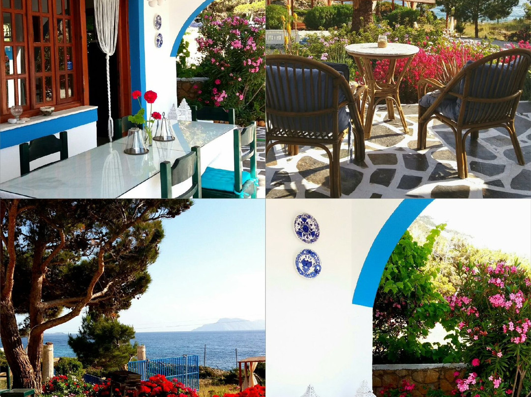 Kathys Island Retreat