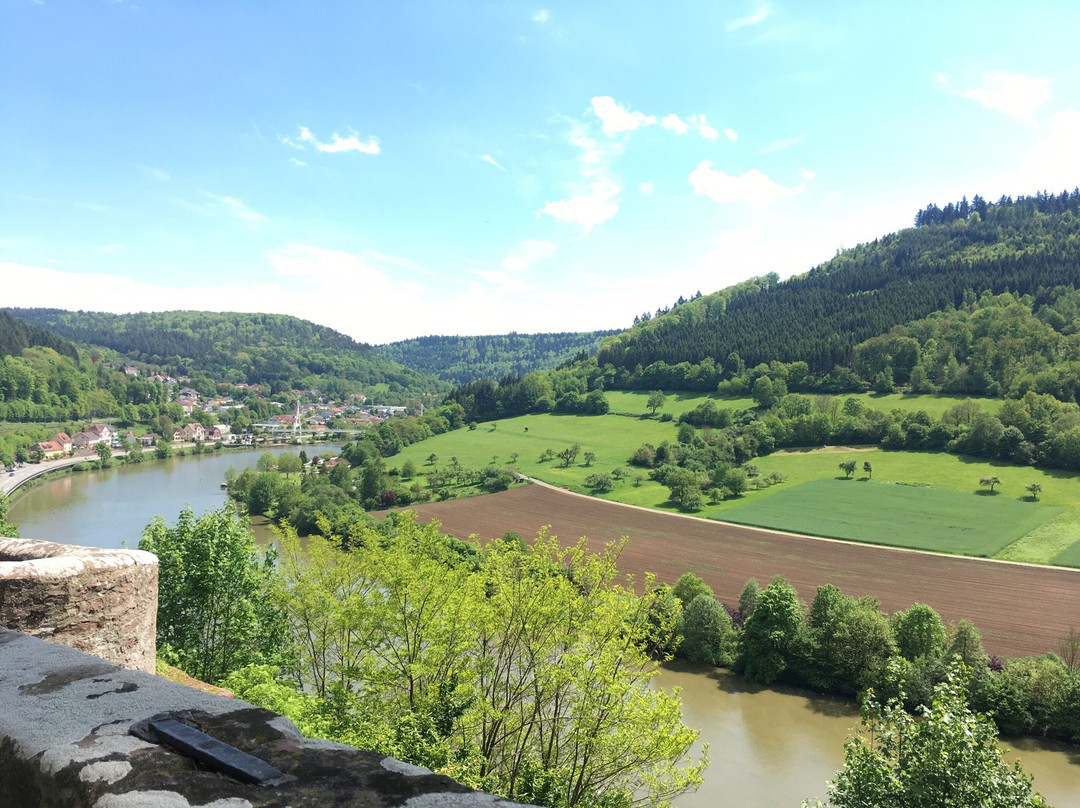 Zwingenberg旅游攻略图片