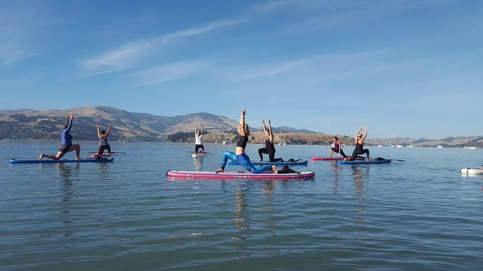 Of the Sea Stand Up Paddle Co.景点图片