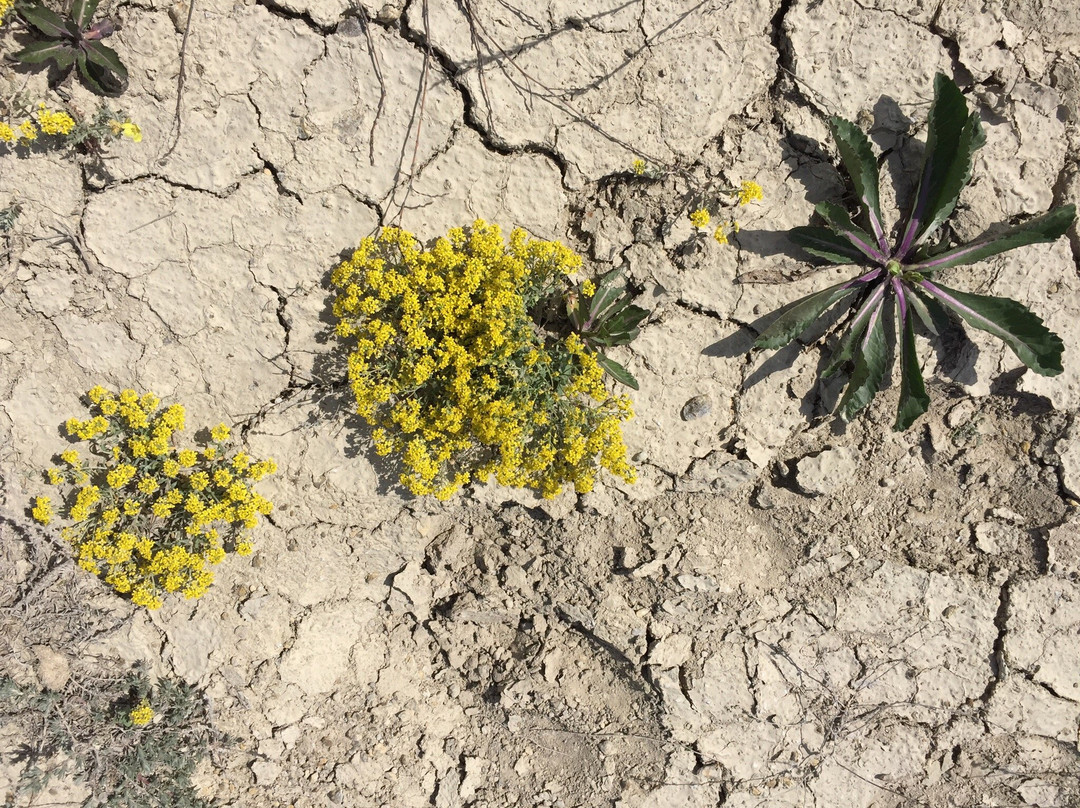 Mountain Ulagan-Elton必去景点