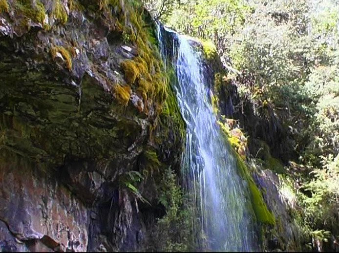 Bindaree Falls-Mount Buller必去景点